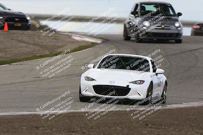 media/Mar-02-2025-Speed Ventures (Sun) [[ad7ca67825]]/Purple Group/Session 2/